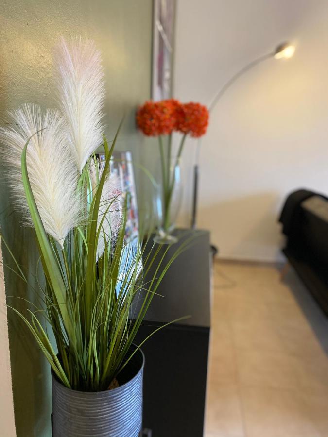 סן פלורן Appartements Vue Mer מראה חיצוני תמונה